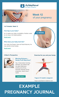 view-example-pregnancy-journal