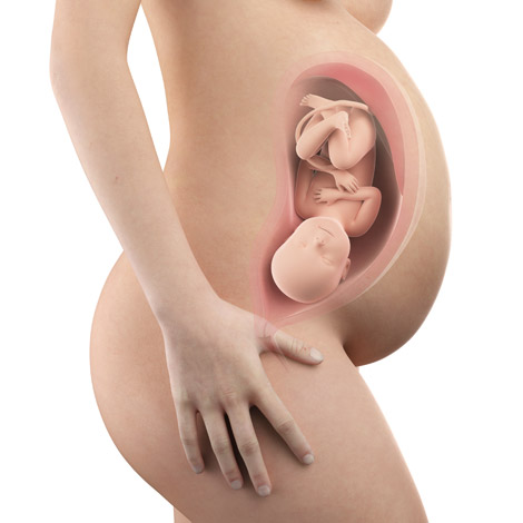 Your Pregnancy Week 40 Whats happening this week? picture picture