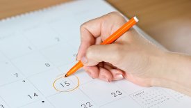 Understanding ovulation