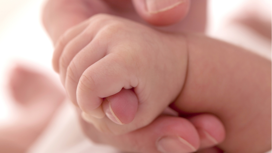 Babies hand