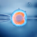 human egg testing
