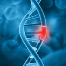 DNA, Genetic disorders