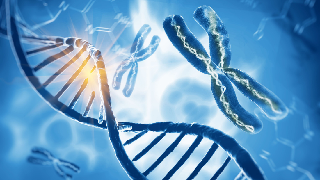 DNA and Chromosomes